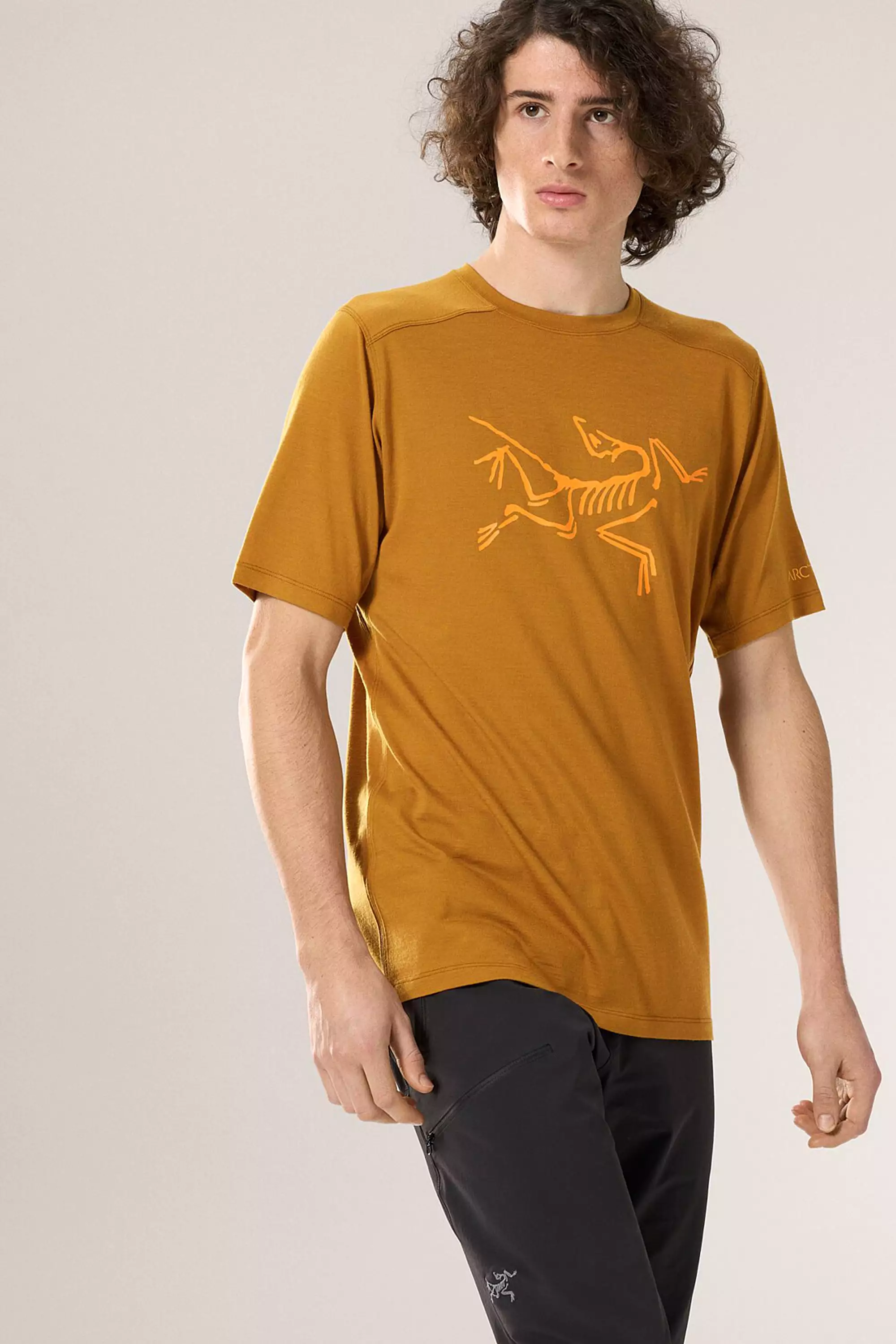 Arc'teryx Men's Ionia Merino Wool Logo Short Sleeve T-Shirt Yukon