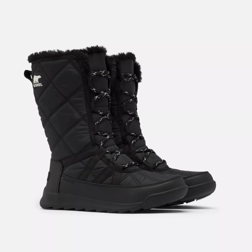 Sorel Whitney II Tall Lace Black